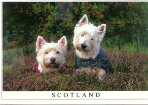 80cf8edc390b6d4e4e3319bd6c922fe9