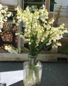 muguet